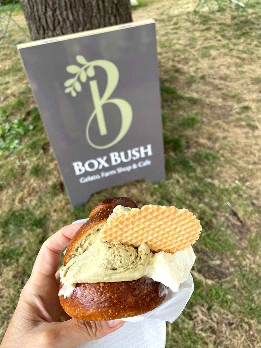 Gelato brioche