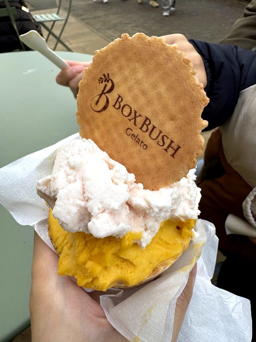 Gelato cup